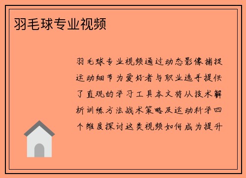 羽毛球专业视频